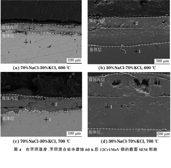 在不同溫度、不同混合鹽中腐蝕６０h后１２Cr１MoV鋼的截面SEM 形貌