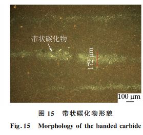 圖15 帶狀碳化物形貌 圖15 帶狀碳化物形貌